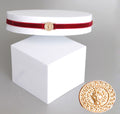 Gold Lion Velvet Choker